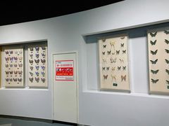 -陕西自然博物馆