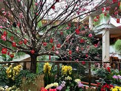 -广州白天鹅宾馆