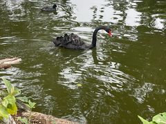 -海南热带野生动植物园