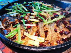 -老板恋上鱼(恒隆广场店)