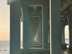 -宝安西湾红树林湿地公园