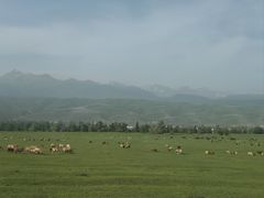 -新疆那拉提国家旅游度假区