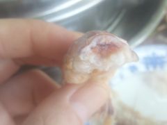 -叶存利海鲜大馅饺子(东戴河止锚湾店)
