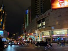 -黄浦江游览快线(金陵东路码头)