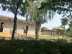 -辛玛王国游乐园