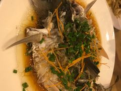 -悠悠美食