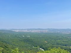 -紫金山山顶公园