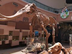 -陕西自然博物馆