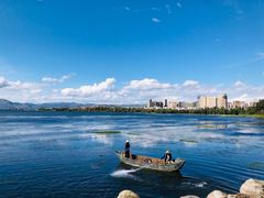 -阿鹏故事野生菌火锅(古城店)