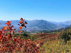 -北京西山国家森林公园