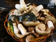 -菌海森林·非遗野生菌火锅(西山区滇池路摩根道店)