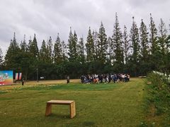 -前小桔亲子创意农场·草莓采摘·露营烧烤