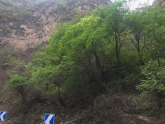 -圣莲山风景区