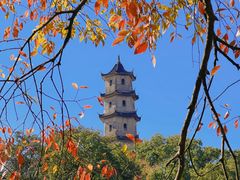 -江心屿景区