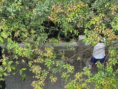 -水濂山森林公园