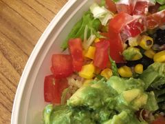 -油梨树 AVOCADO TREE(亮马桥店)