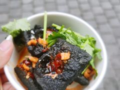 -黑色经典臭豆腐·湖南特产(坡子街特产局店)