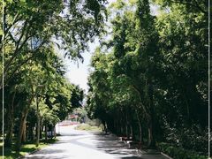 -深圳国际园林花卉博览园