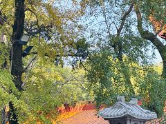 -南岳大庙