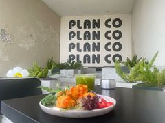 -PLAN CO