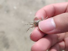 -浪琴湾度假村