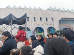 -自贡恐龙博物馆