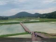 -艾米稻香小镇