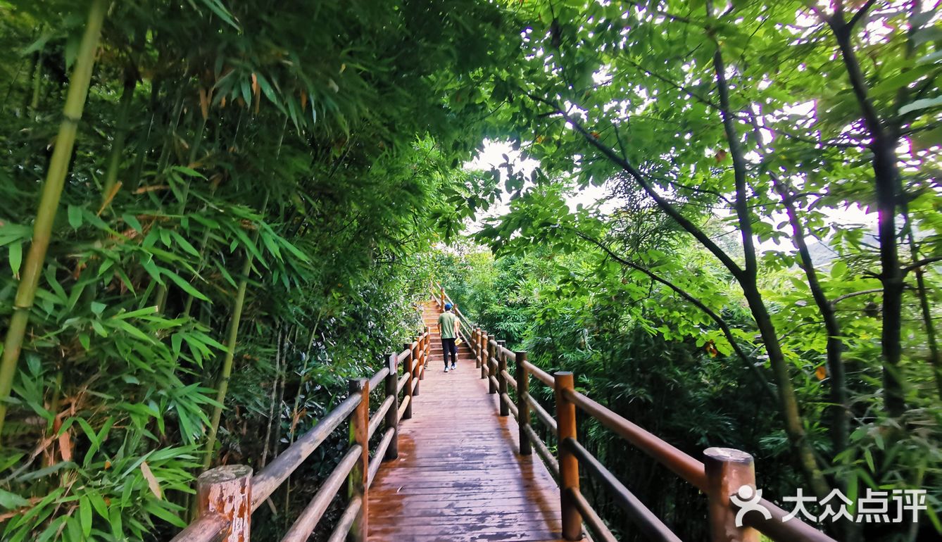 闯入熊猫🐼睡眠王国？[害羞]