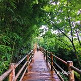 闯入熊猫🐼睡眠王国？[害羞]