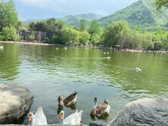 -西安秦岭野生动物园