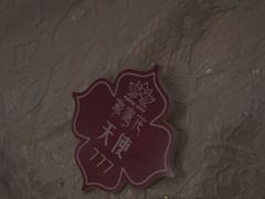 -紫莲花足道(柯桥古镇店)