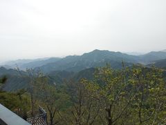 -六里坪国家森林公园