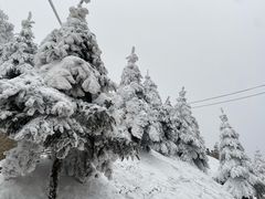 -秦岭风景区