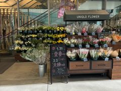 -优衣库(银座店)