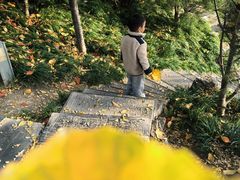 -莲湖公园