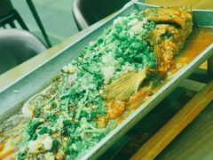 -树厨贵州菜(花果园购物中心店)