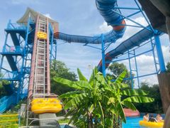 -苏州乐园森林水世界