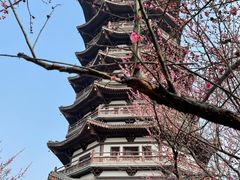 -洋湖国家湿地公园