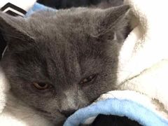 -惠康宠物医院(华能路店)