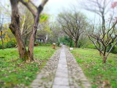 -西溪国家湿地公园