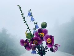 -山王坪喀斯特国家生态公园