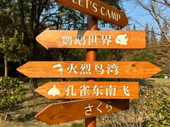 -顾村公园