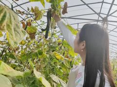 -阿林有机农庄
