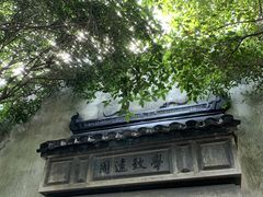 -乌镇东栅景区