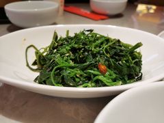 山野灰灰菜-老碗会(汕头万象城店)