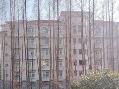 -上海虹桥迎宾馆