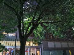 -中央广播电视总台(光华路办公区)