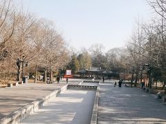 -晋祠公园