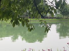 -同里国家湿地公园
