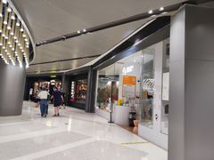 -COLOR PETS 撸猫馆·购猫·猫咖(长风大悦城店)